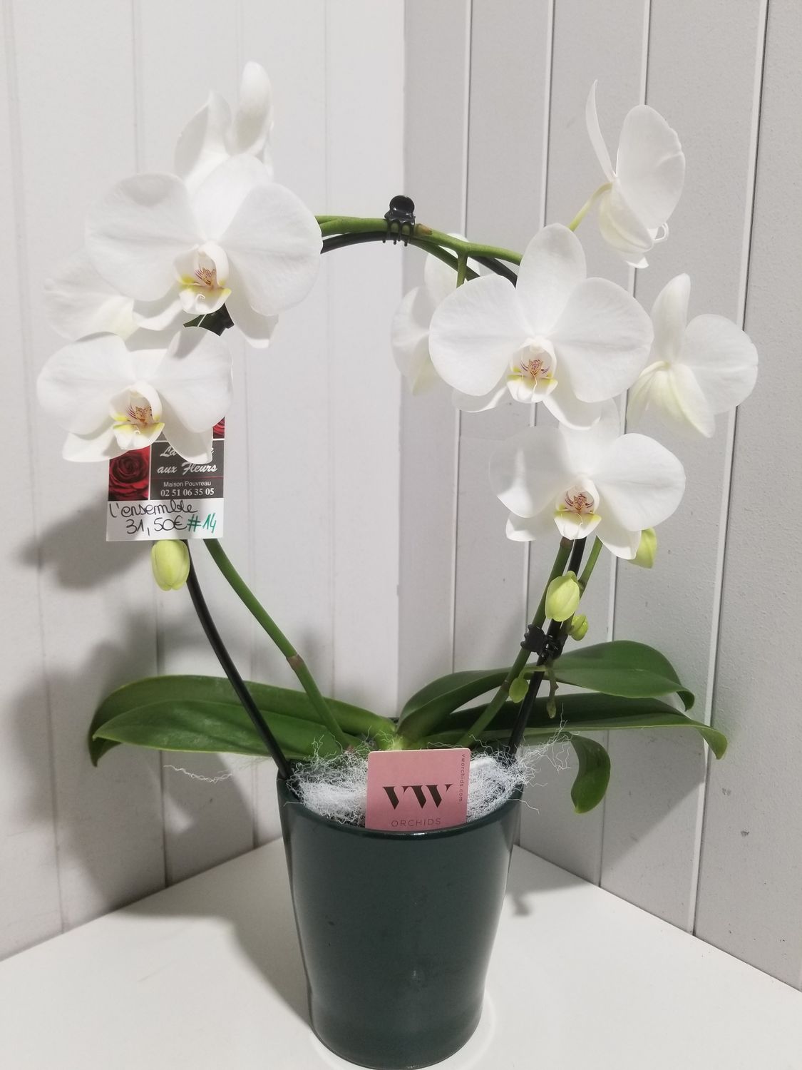  disponible en Livraison # 14