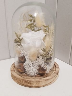 disponible en Drive et en Livraison # 100 disponible en Drive et en Livraison # 100