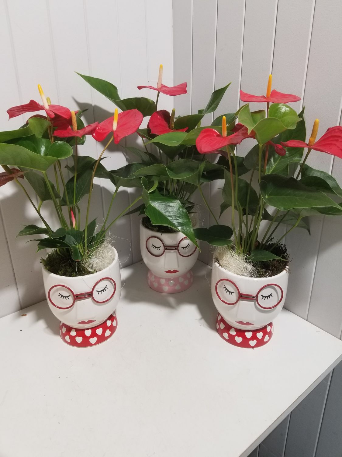 disponible en Drive et en Livraison # 96