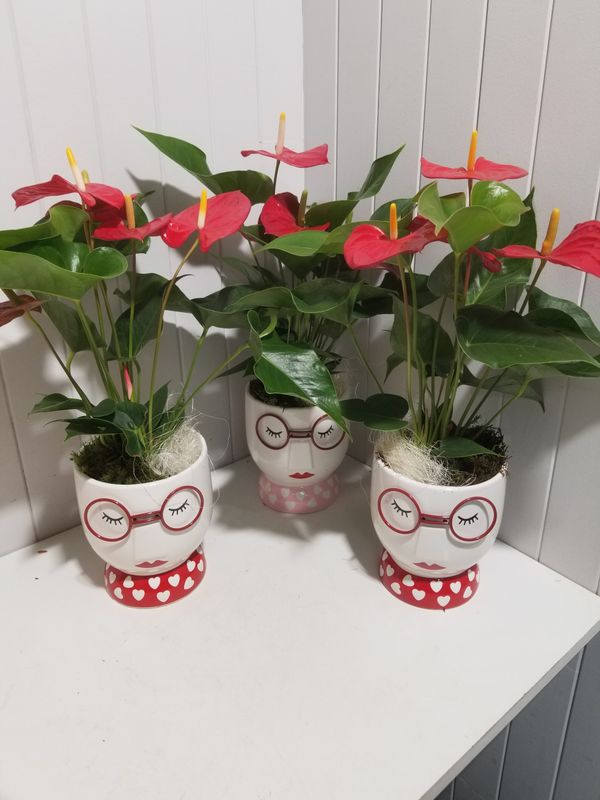 disponible en Drive et en Livraison # 96 disponible en Drive et en Livraison # 96