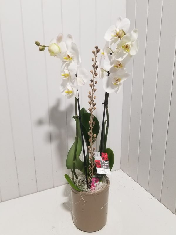 disponible en Drive et en Livraison # 13 disponible en Drive et en Livraison # 13