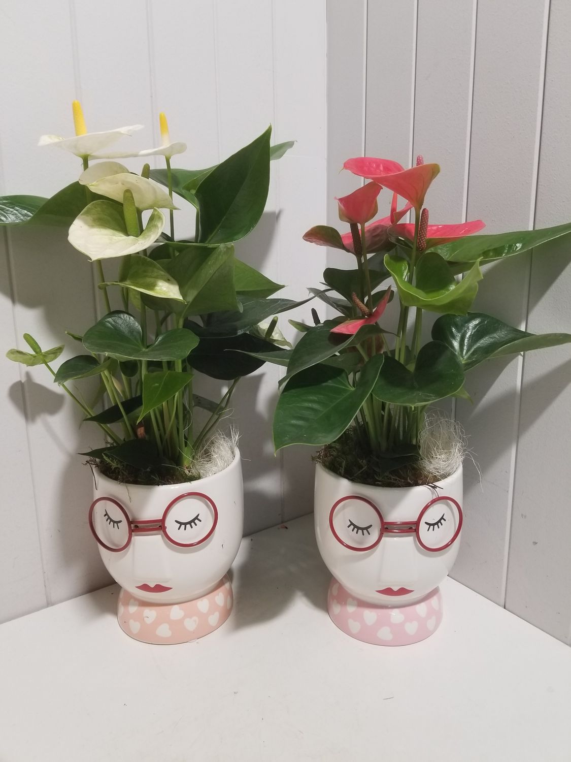 disponible en Magasin # 18 