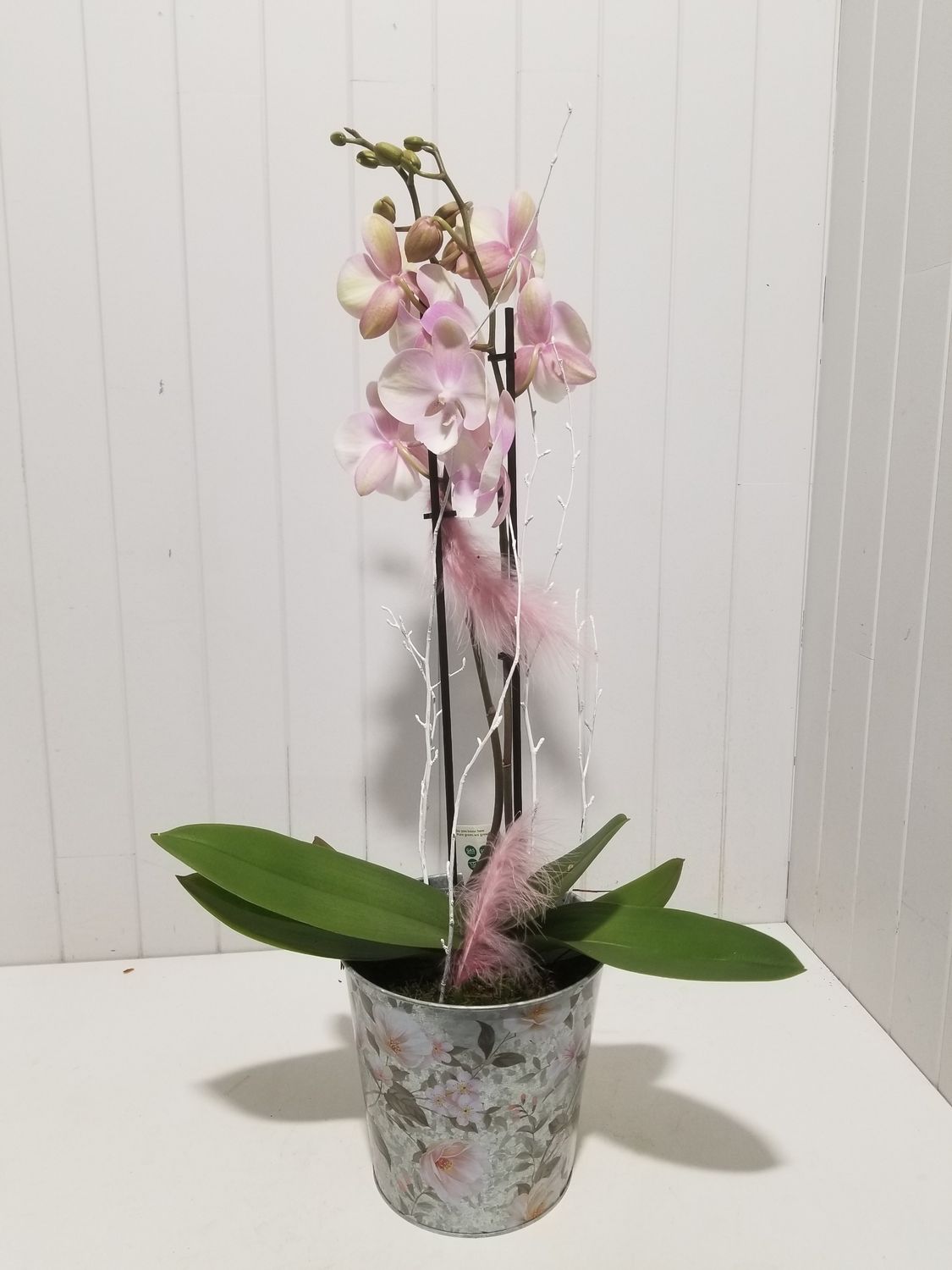 disponible en Drive et en Livraison # 91 disponible en Drive et en Livraison # 91