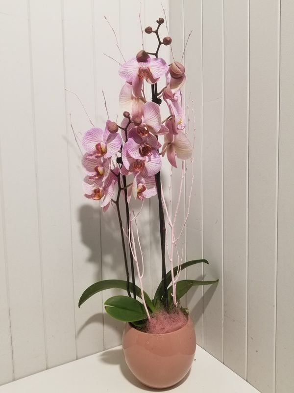 disponible en Drive et en Livraison # 91