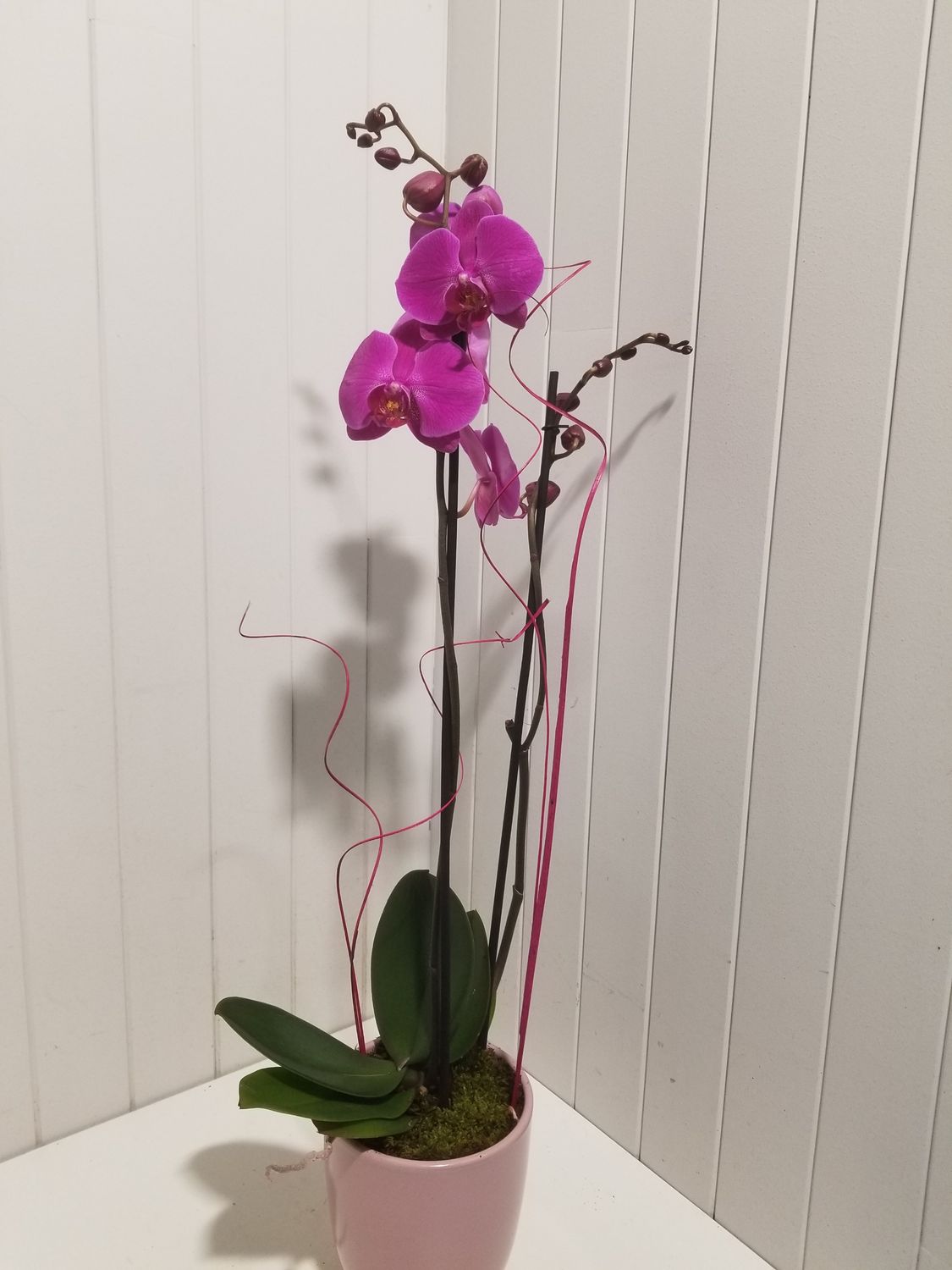 disponible en Drive et en Livraison # 107