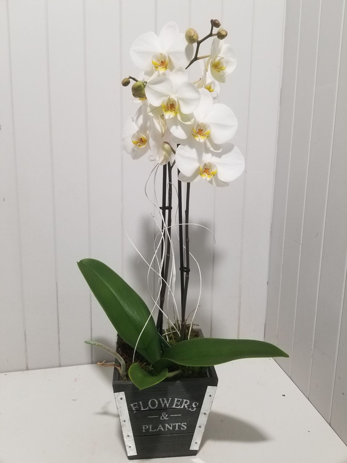 disponible en Magasin # 22