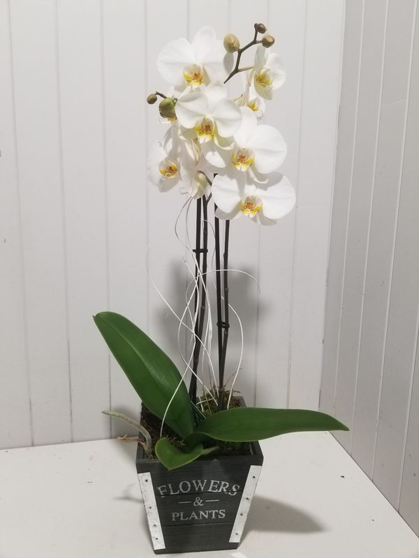 disponible en Magasin # 22