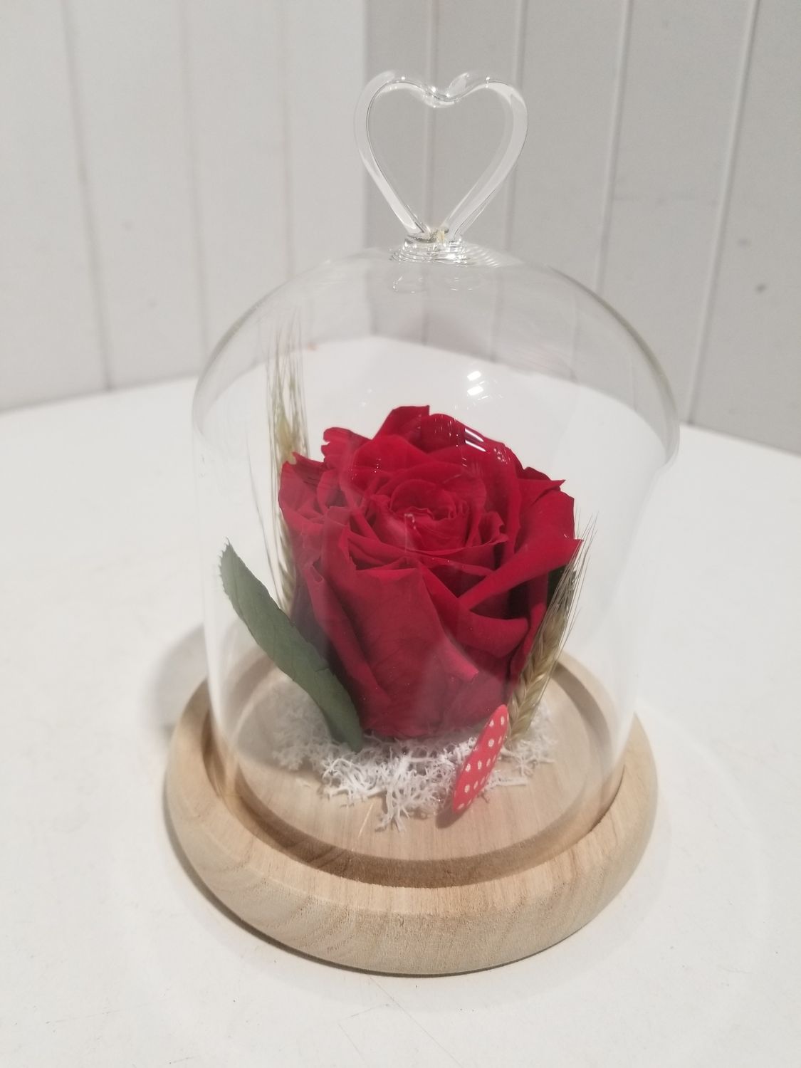 disponible en Magasin # 45