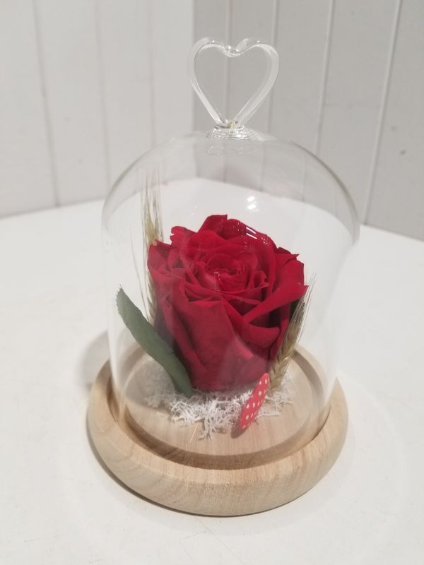 disponible en Magasin # 45 disponible en Magasin # 45