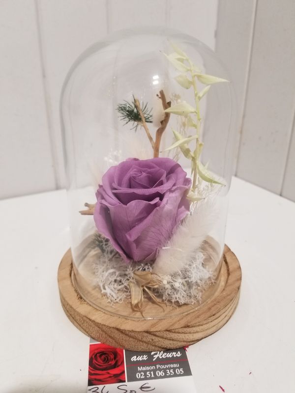 disponible en Magasin # 24 disponible en Magasin # 24