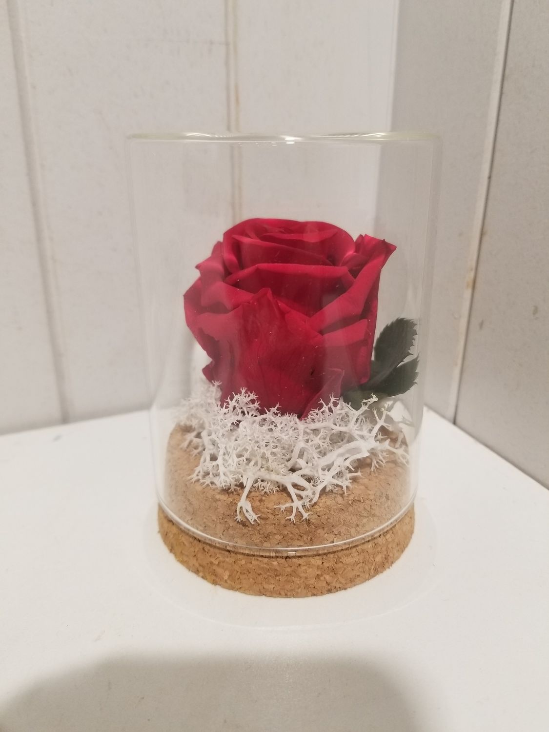 disponible en Magasin # 31 disponible en Magasin # 31