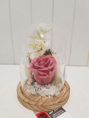 disponible en Magasin # 31