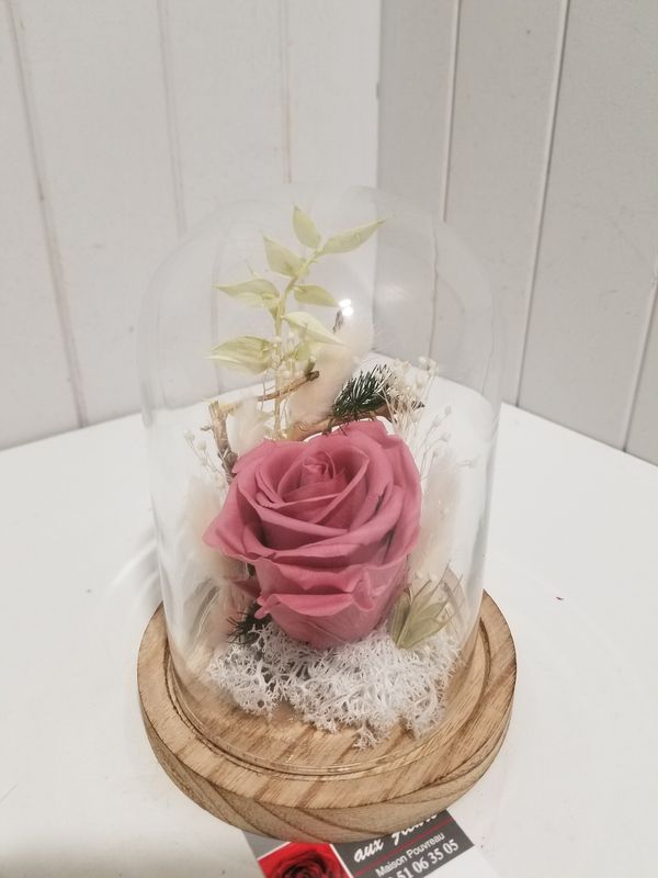 disponible en Magasin # 23 disponible en Magasin # 23