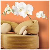 Home Décor