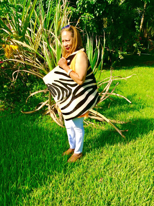 Try-Angle Zebra Handbag