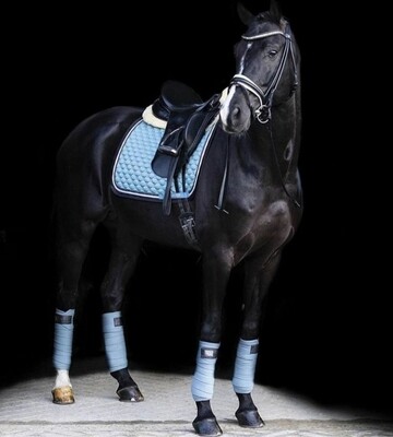 Caballo