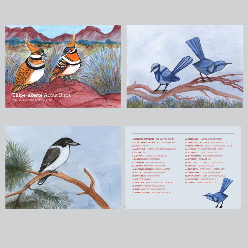 Flashcards - Thipe-Akerte (About Birds)