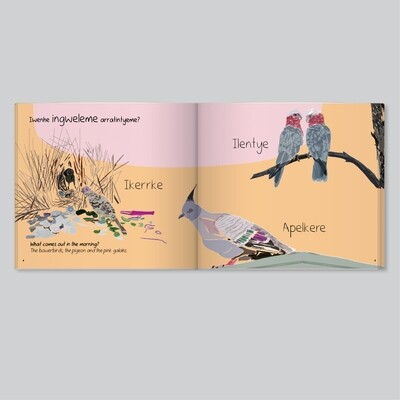 Books: Iwenhe Arratintyeme Ingwele? - What Comes out at Night?