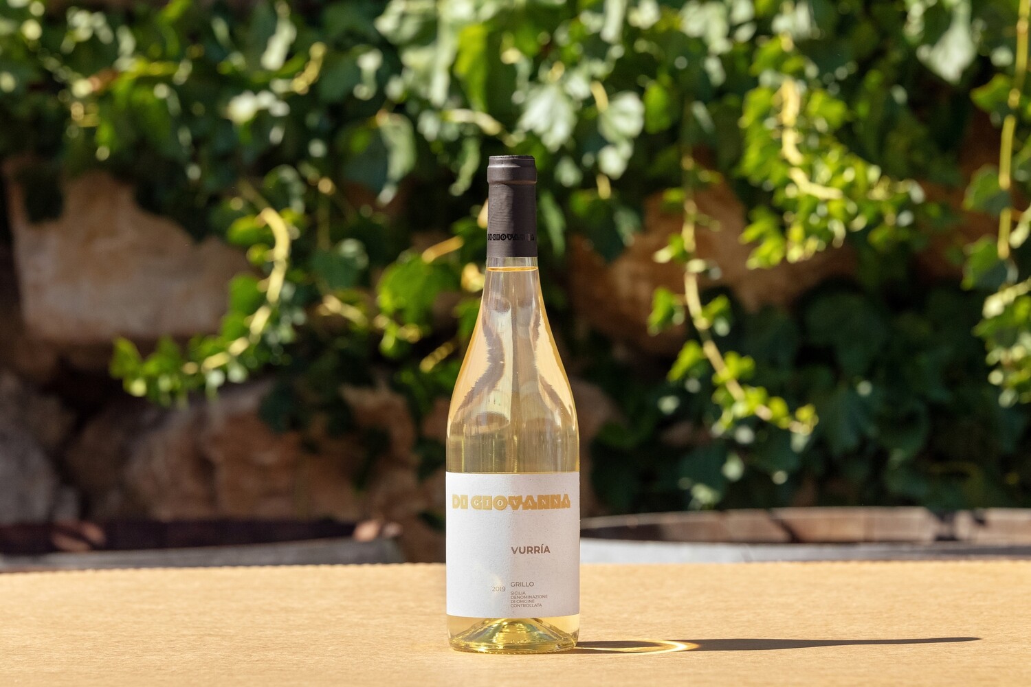 Vurrìa Sicilian Wine & Olive Oil (5 Bottles)