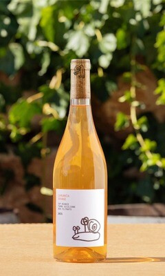 Camurria Orange IGP Terre Siciliane 2024 - Natural Wine- 3 bottles