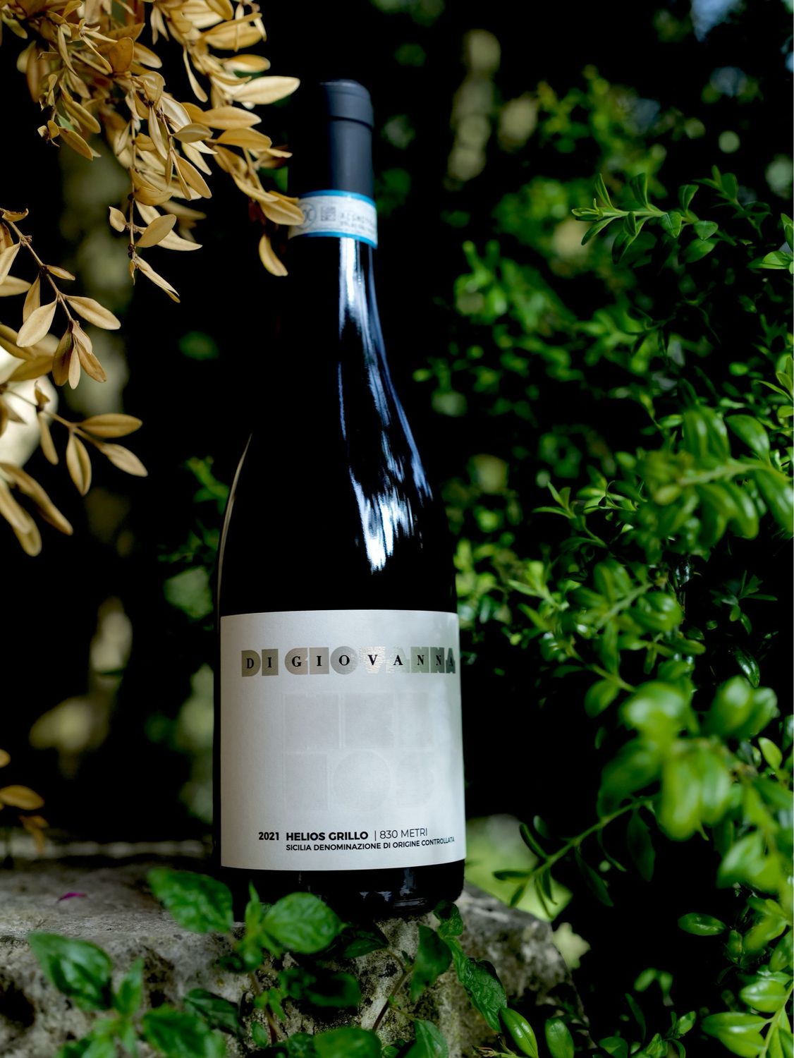 HELIOS Grillo 830 m. DOC Sicilia 2022 - 2 bottles