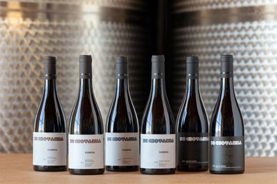 Authentic Sicilian Reds — 6 Bottles