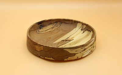 Obstteller Buche gestockt