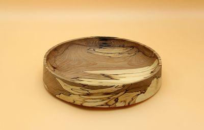 Obstteller Buche gestockt