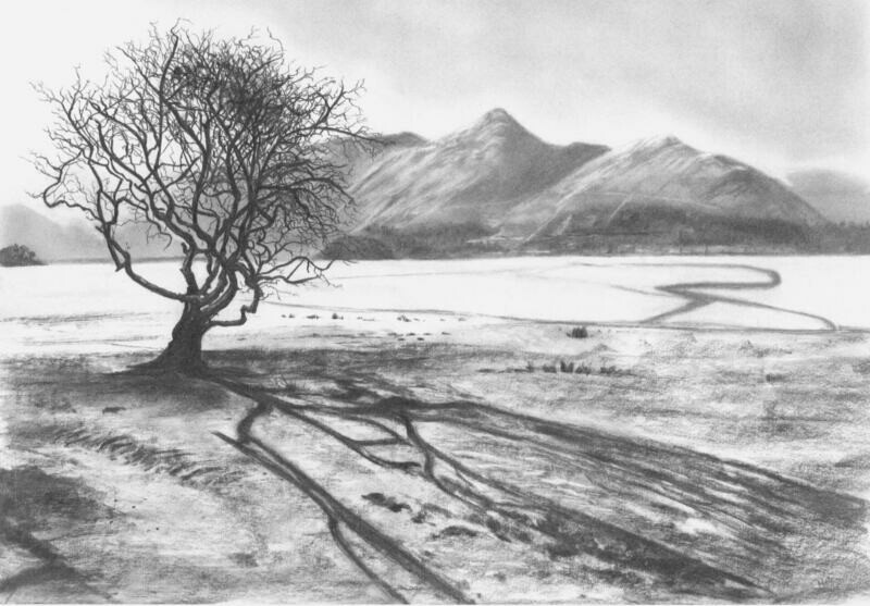Derwent, ice, tree