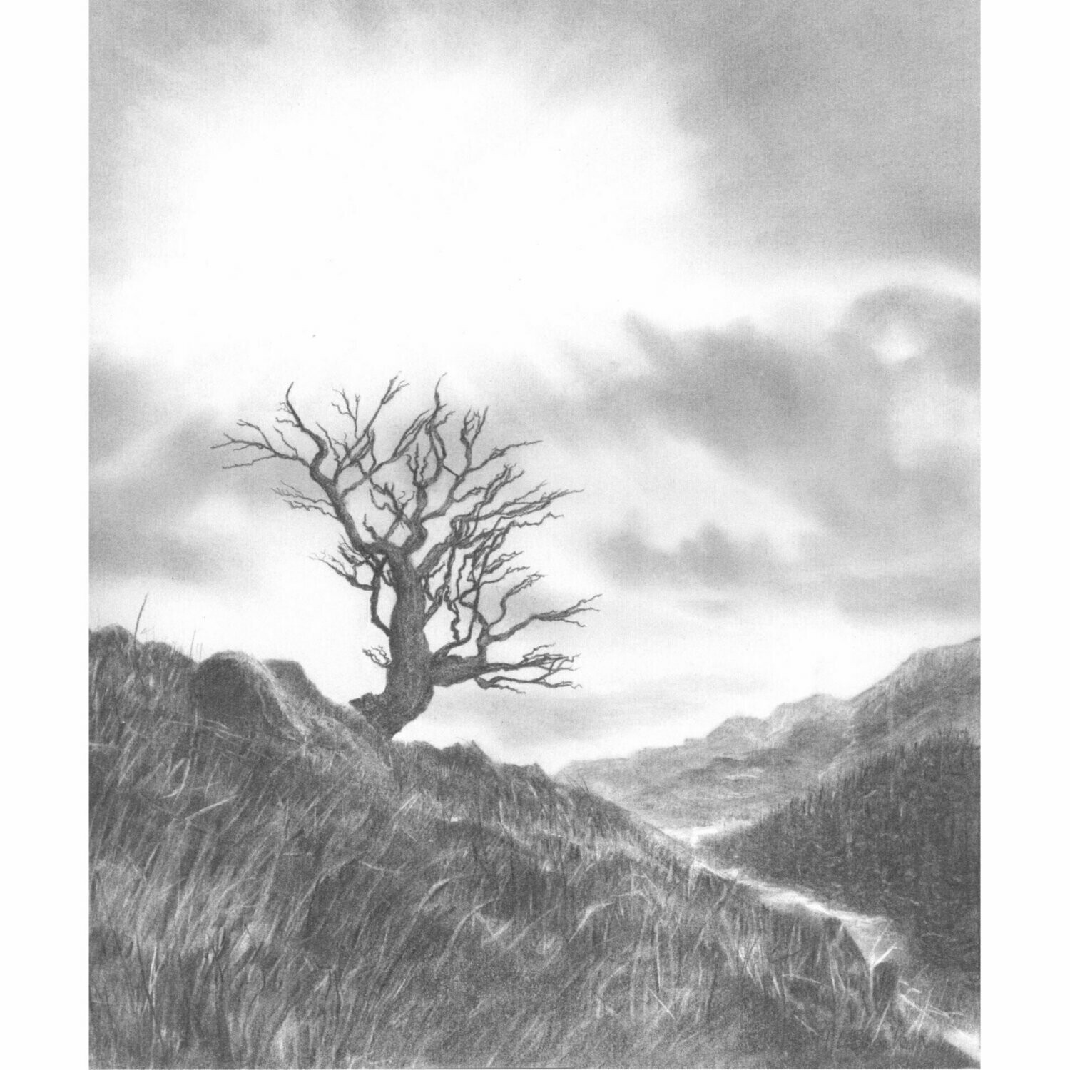 Langdale tree