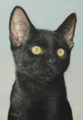 Black cat 'Little Beauty' a Giclée Print from the original pastel drawing by Natalie Mascall ©