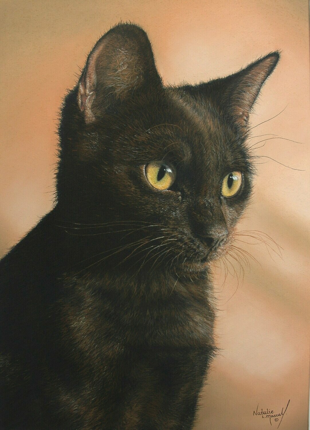 'Mina' a pastel drawing of a black cat by Natalie Mascall