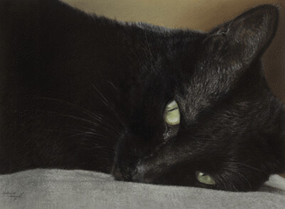 'Sleepy Beauty' an Open Edition Giclee print of a black cat by Natalie Mascall ©