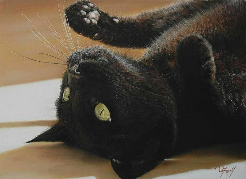 'Puurfect Spot' is an Open Edition giclee fine art print of a black cat by Natalie Mascall ©