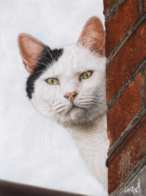 'Prowler on the Roof' is an Open Edition giclee fine art print by Natalie Mascall ©