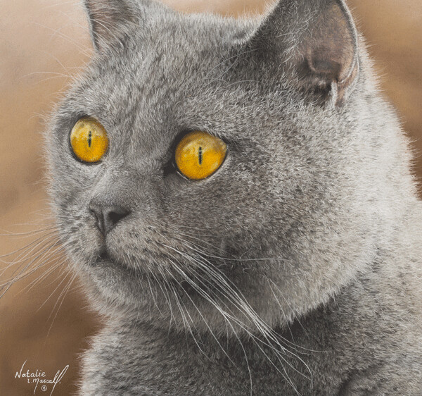'Blue' a British Blue, is an Open Edition giclee fine art print by Natalie Mascall ©
