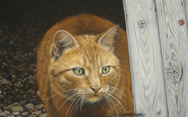 'Inquisitive' a ginger tabby, is an Open Edition giclee fine art print by Natalie Mascall ©