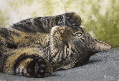 'Tabby' a tabby cat, is an Open Edition giclee fine art print by Natalie Mascall ©