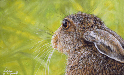 'Lepus' (The Latin for Hare) is an Open Edition giclee fine art print by Natalie Mascall ©