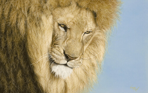 'Asiatic Monarch' is an Open edition giclee fine art print by Natalie Mascall ©