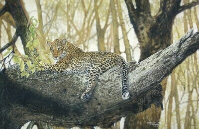 'Chui' (Swahili for African Leopard) is an Open edition giclee fine art print by Natalie Mascall ©