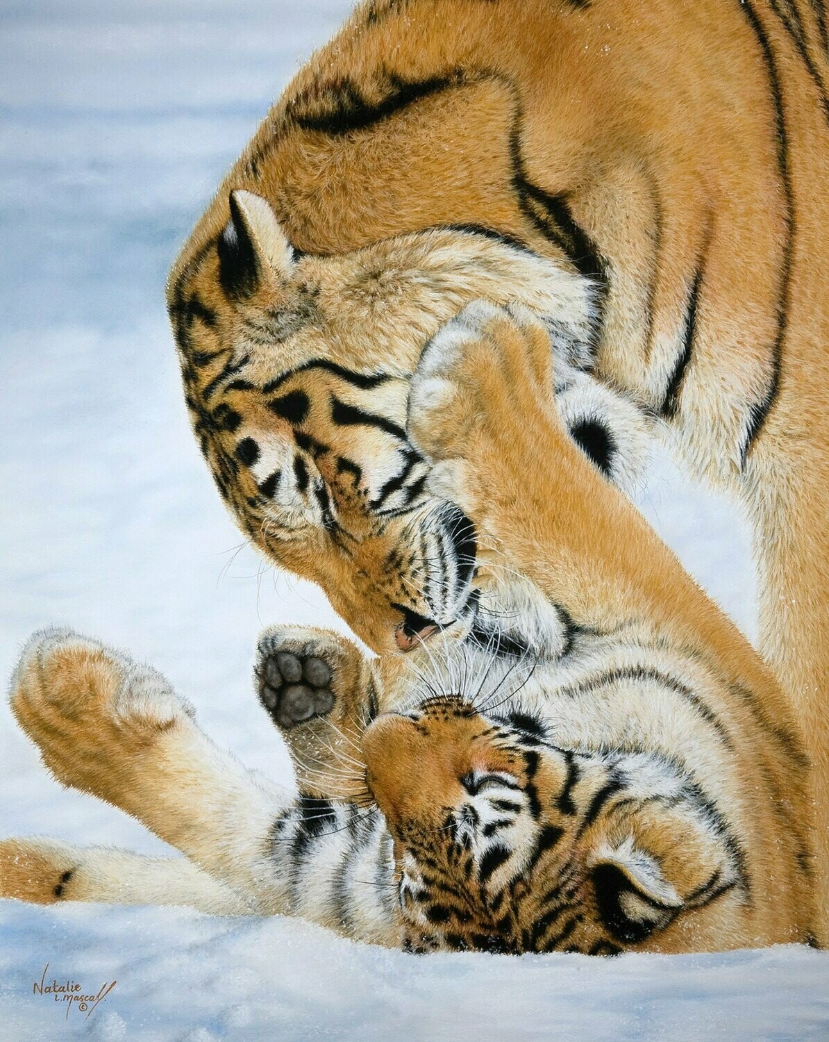 'Tigers at Play' is an Open edition giclee fine art print of tigers playing in the snow by Natalie Mascall ©