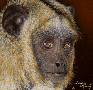 'Female Alouatta Caraya' is an Open edition giclee fine art print by Natalie Mascall ©