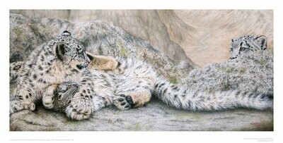 'The Future' is a Limited edition giclee fine art print of 3 snow leopard cubs by Natalie Mascall ©