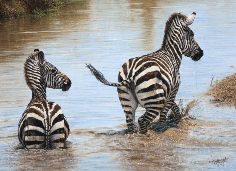'Sprightly' is a Limited edition giclee fine art print of zebras by Natalie Mascall ©
