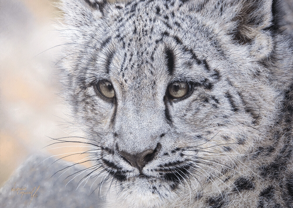 'Generations' is a Limited edition giclee fine art print of a snow leopard cub by Natalie Mascall ©