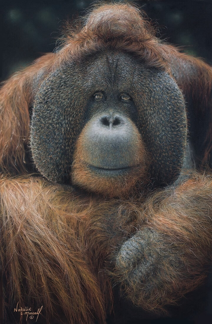 'Rajang, one in a million' is a limited edition giclee fine art print by Natalie Mascall ©