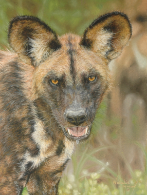 'African Wild dog' is an Open edition giclee fine art print from the original pastel drawing by Natalie Mascall ©