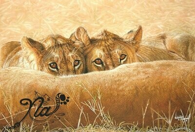 'Contented Cubs' is an Open edition giclee fine art print from the original pastel drawing by Natalie Mascall ©