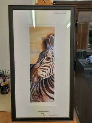 'In the Morning Sun' is an Open edition giclee fine art print of a zebra by Natalie Mascall ©